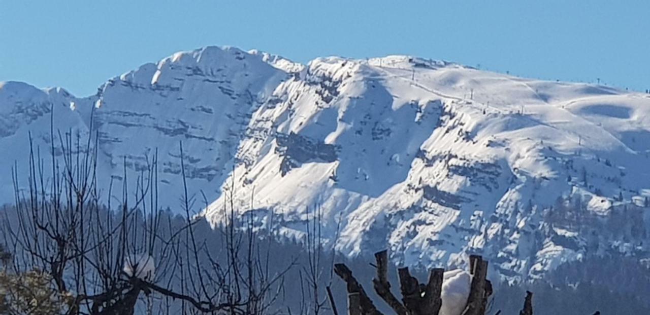 Zum Alten Forsthaus Reit im Winkl Extérieur photo
