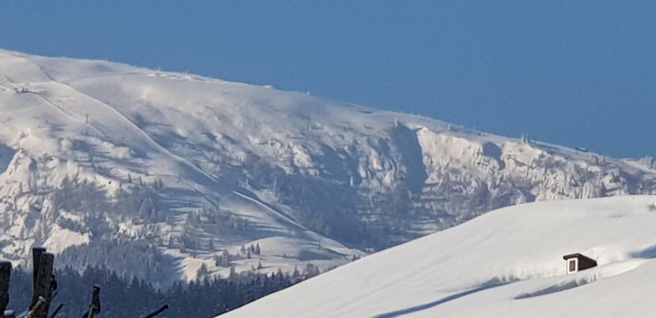 Zum Alten Forsthaus Reit im Winkl Extérieur photo