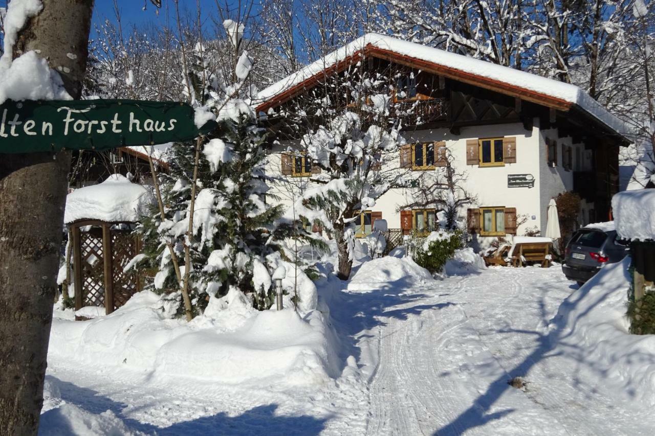 Zum Alten Forsthaus Reit im Winkl Extérieur photo